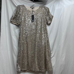 Cable and Gauge silver sequin swing dress